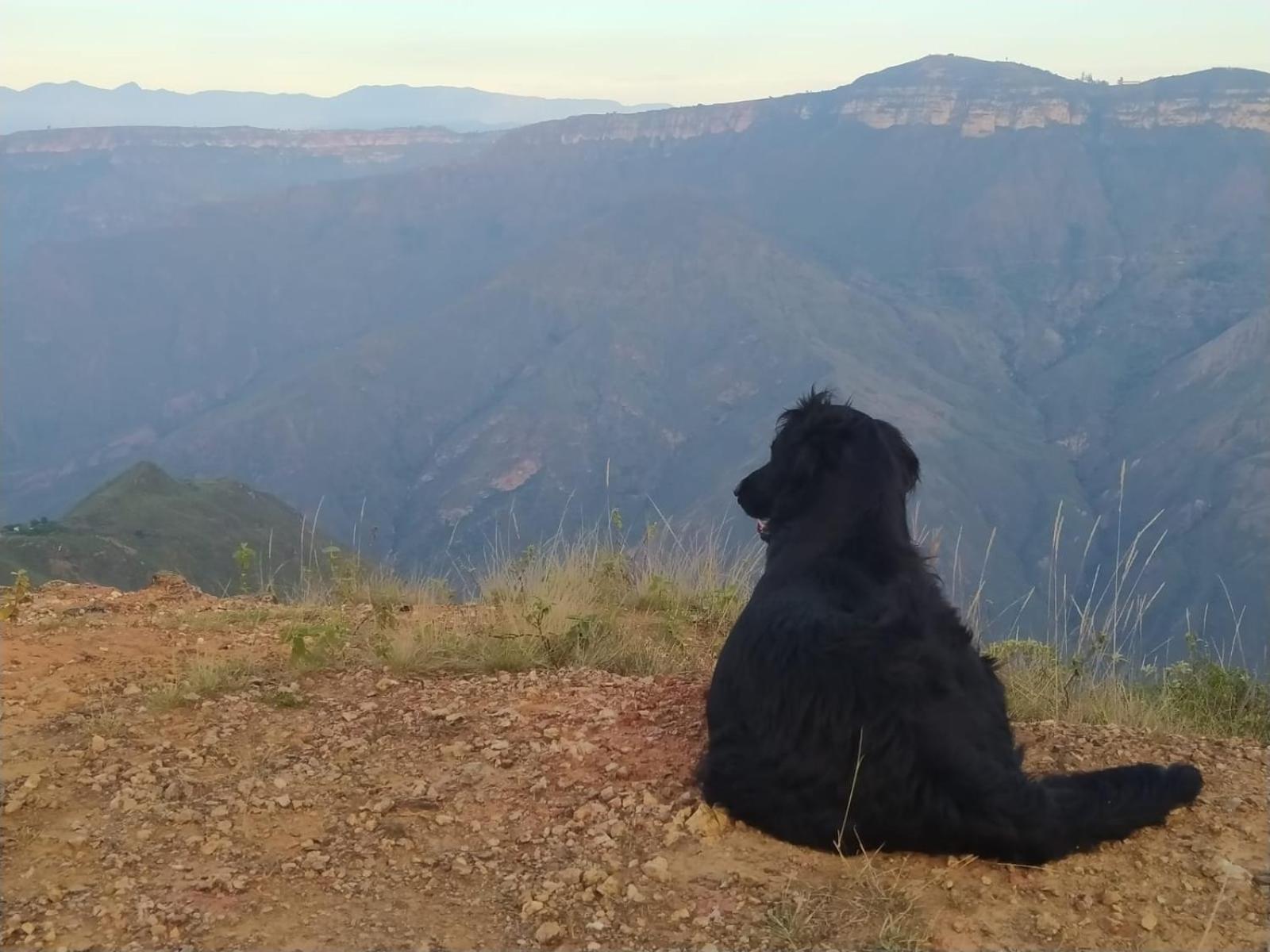 Aratoca Cabanas Canon Del Chicamocha מראה חיצוני תמונה