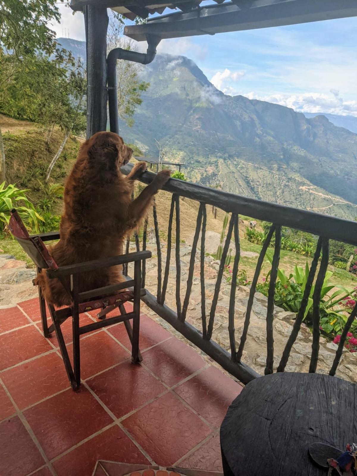 Aratoca Cabanas Canon Del Chicamocha מראה חיצוני תמונה